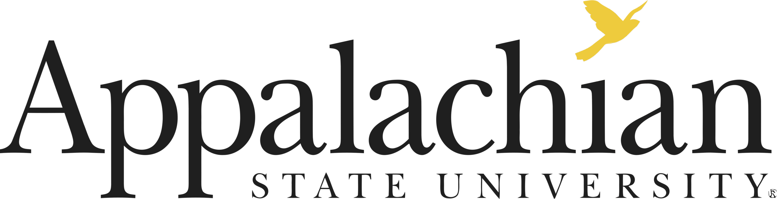 BINUS Appalachian University